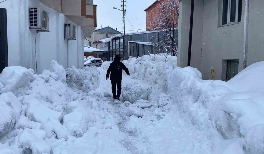 Karlıova’da 40 gündür aralıksız yağan kar hayatı olumsuz etkiliyor
