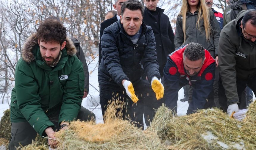 Vali Aygöl, yaban hayvanlarını unutmadı