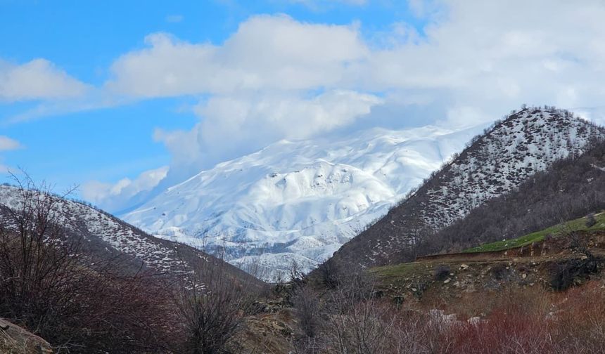 Hizan’da zirveler kış, etekler baharı yaşıyor