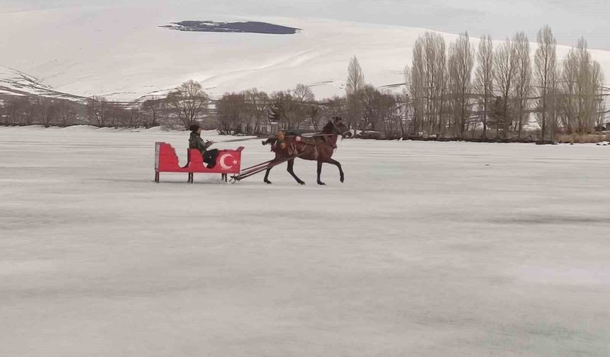 Çıldır Gölü'nde atlı kızak sezonu tamamlanıyor