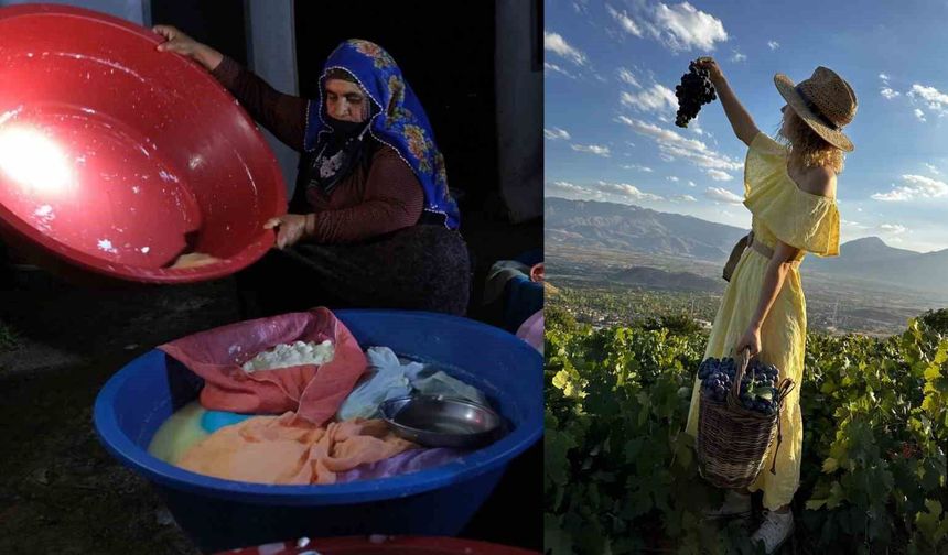 Erzincan Tulum Peyniri ve Cimin Üzümü uluslararası tescil aldı