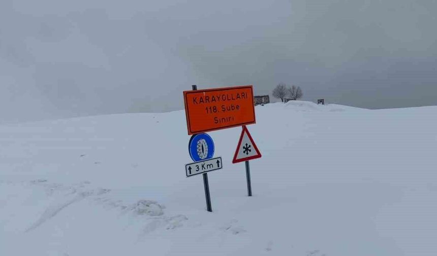 Kar ve tipi nedeniyle Hasköy-Mutki yolu kapatıldı