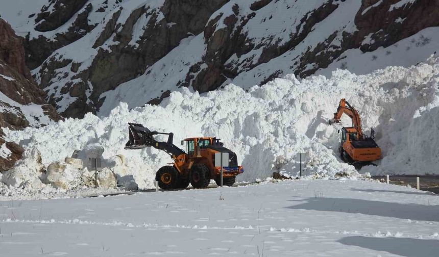 Van-Hakkari kara yolunda çığ sonrası çalışmalar devam ediyor