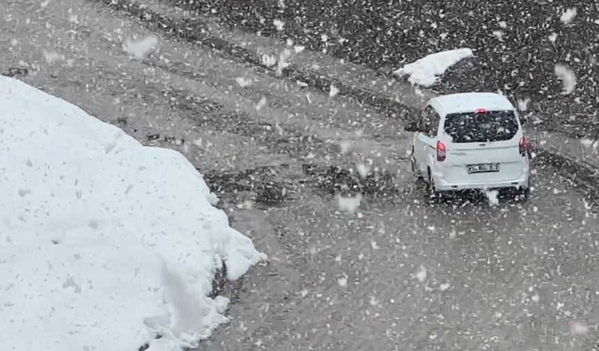 Yüksekova'da kar yağışı ve yoğun sis hayatı olumsuz etkiliyor