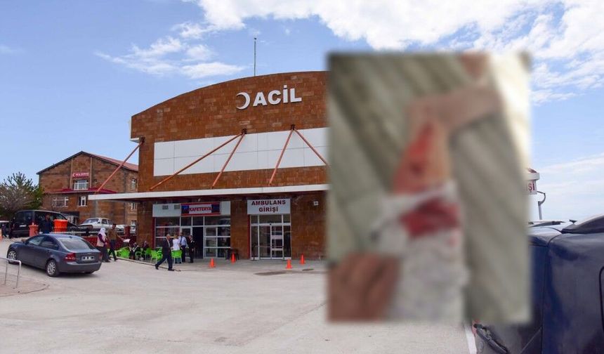 Ahlat’ta köpek saldırısı: 72 yaşındaki kadın yaralandı