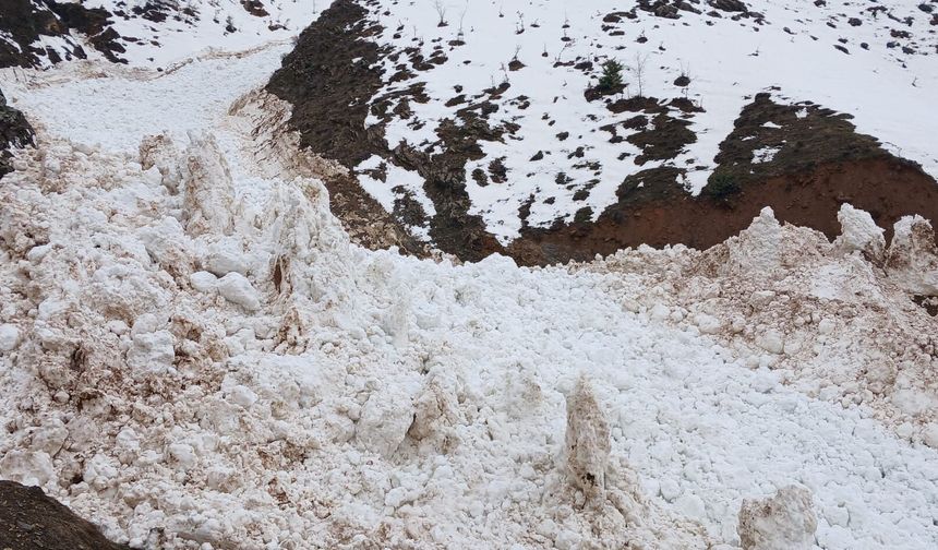 Hizan’da çığ köy yolunu kapattı