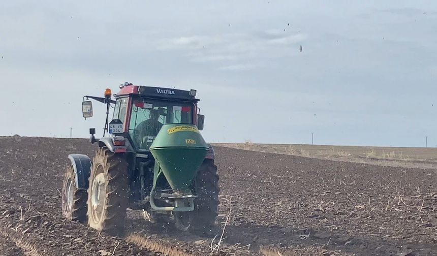 Adilcevaz’da arpalar toprakla buluşuyor