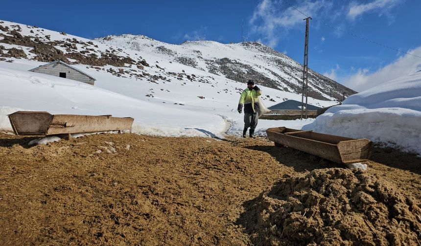 Kışkılı Köyü’nde besicilerin zorlu mesaisi sürüyor
