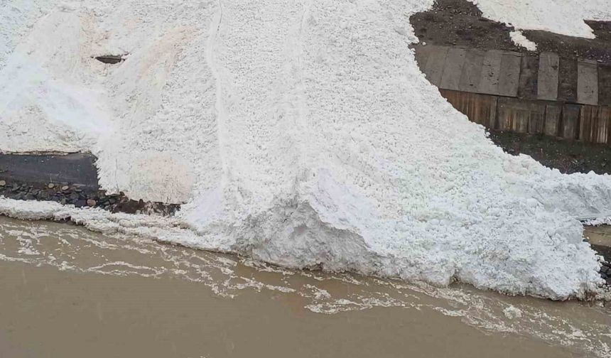 Hakkâri'de dev çığ Zap Suyu'nun önünü kesti