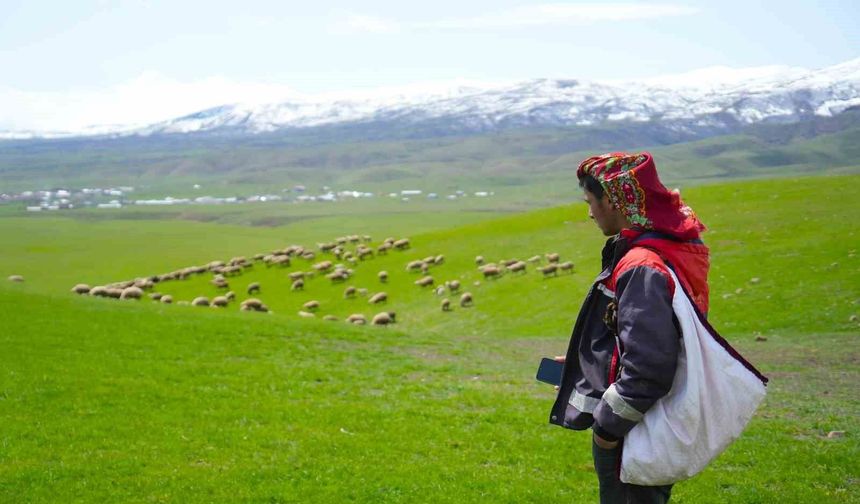 Muş’ta Genç besicilere büyük fırsat: “Kırsalda Bereket” başvuruları başladı