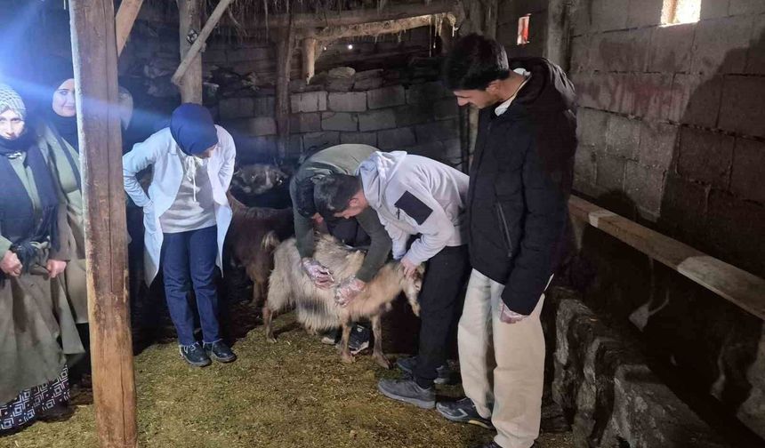 Özalp’te üreticiye eğitim desteği