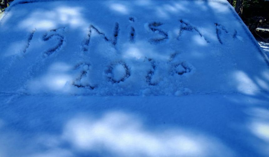 Ahlat’ta gece yağan kar sabah kırağıya dönüştü