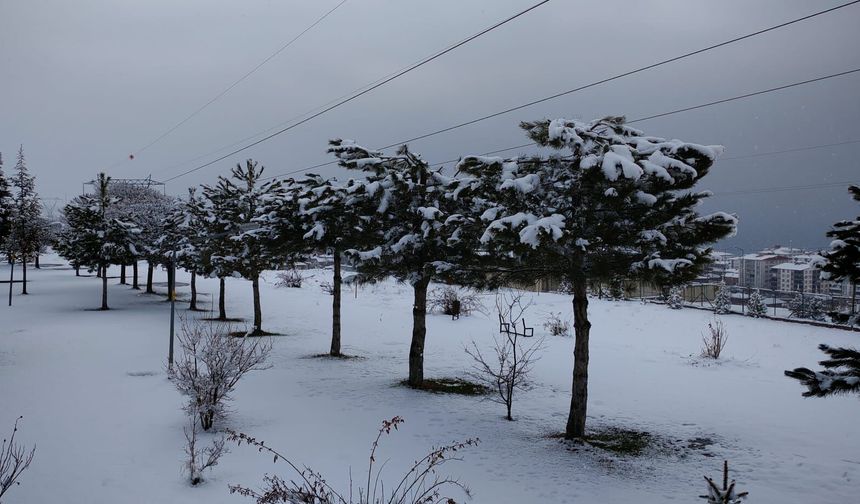 Ahlat’ta kar ve soğuk hava etkisini sürdürüyor
