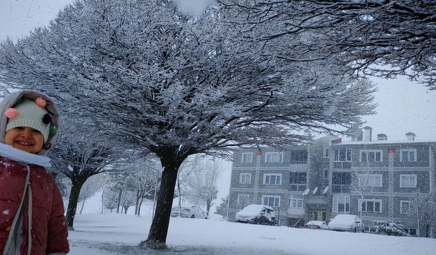 Ahlat’ta nisan sürprizi: Kar yağışı sürüyor