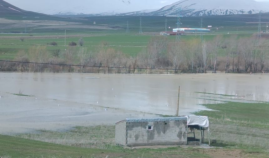Ahlat’ta tarım arazileri sular altında