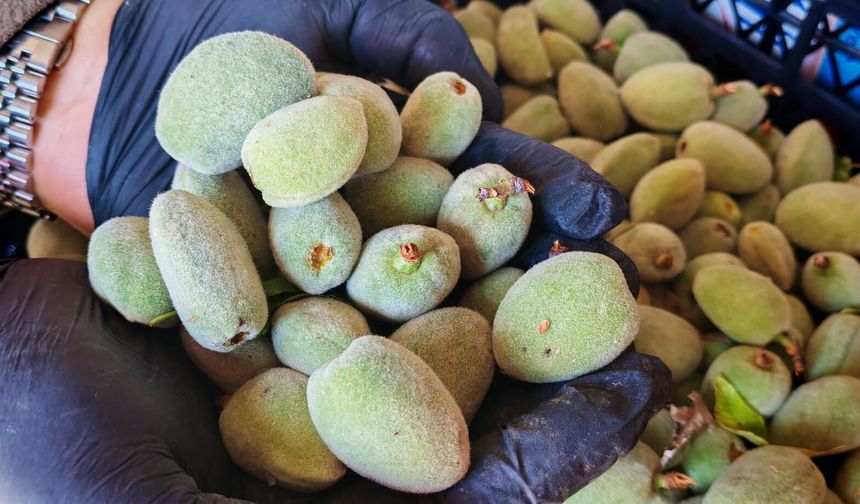 Ahlat’ta çağla tezgahlarda yerini aldı