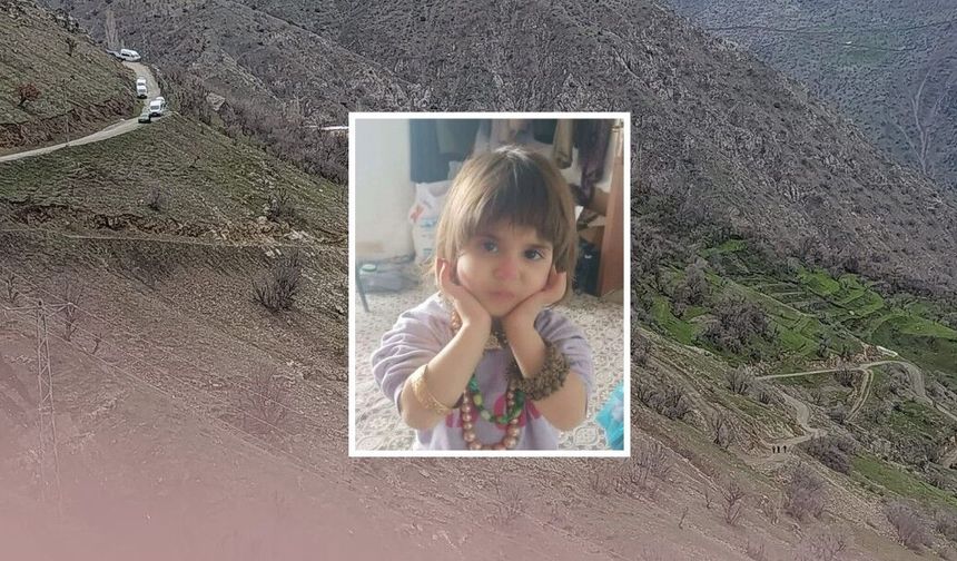 Hizan’da kaybolan 4 yaşındaki Rabia için arama seferberliği