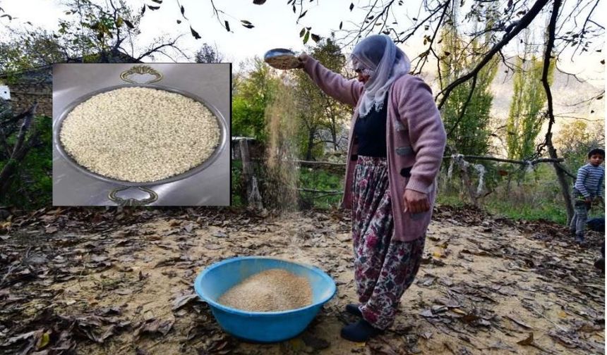 Asırlık lezzet Hizan pirinci tescil yolunda