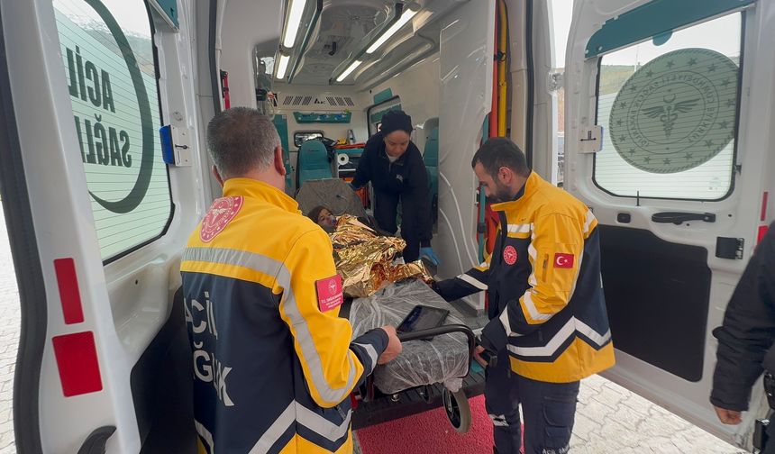 Bitlis Valiliği'nden minik Rabia açıklaması