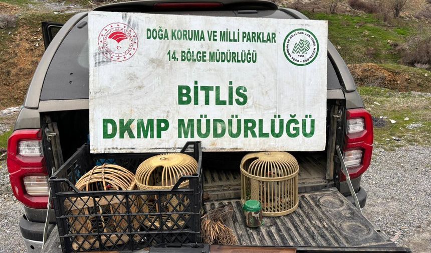 Bitlis’te yasa dışı av yapanlara ağır ceza