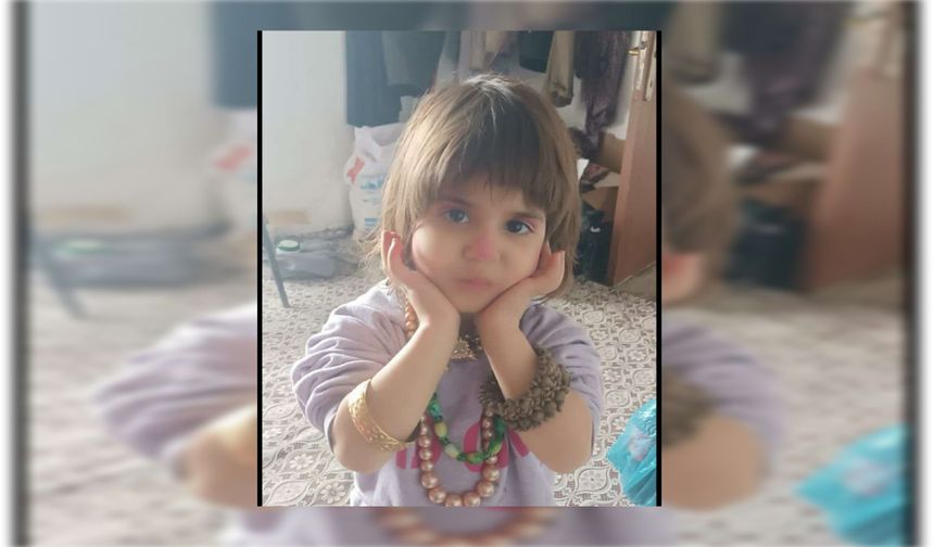 Hizan’da kaybolan 4 yaşındaki kız çocuğu aranıyor