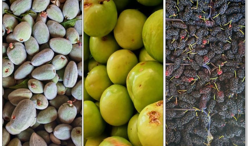 Ahlat’ta yaz meyveleri tezgahlarda yerini aldı