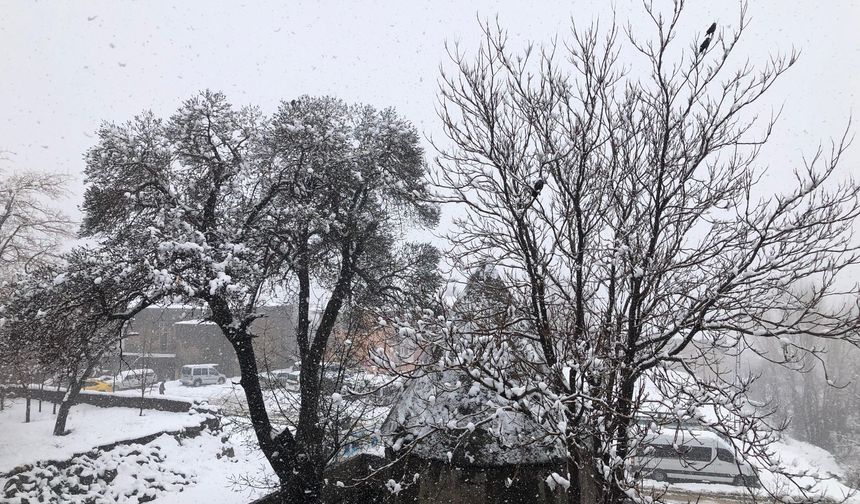 Bitlis’te kar yağışı ulaşımı aksattı: 82 köy yolu kapandı