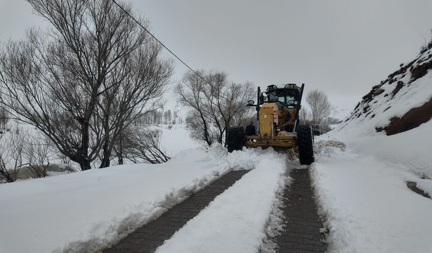 İlkbaharda kış geri döndü: Bitlis'te karla mücadele sürüyor