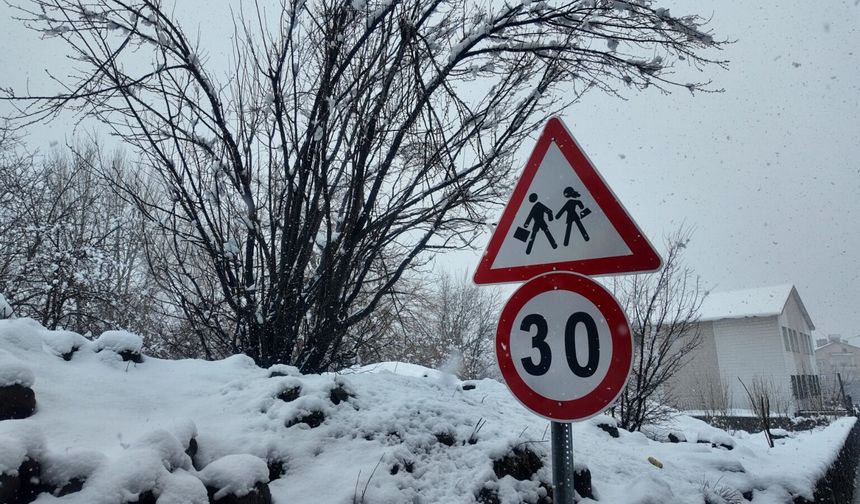 Bitlis’te yoğun kar yağışı: 111 köy yolu ulaşıma kapandı