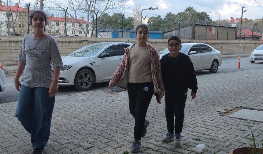 Tatvan’da yavru kuşu kurtarmak isteyen öğrencilerin çabası hüzünle sonuçlandı