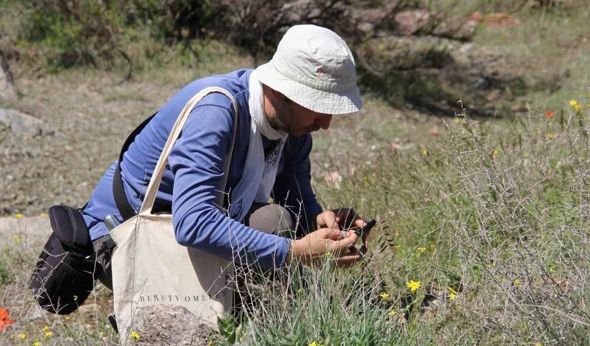 Darende'de flora projesi için ilk saha çalışması sona erdi