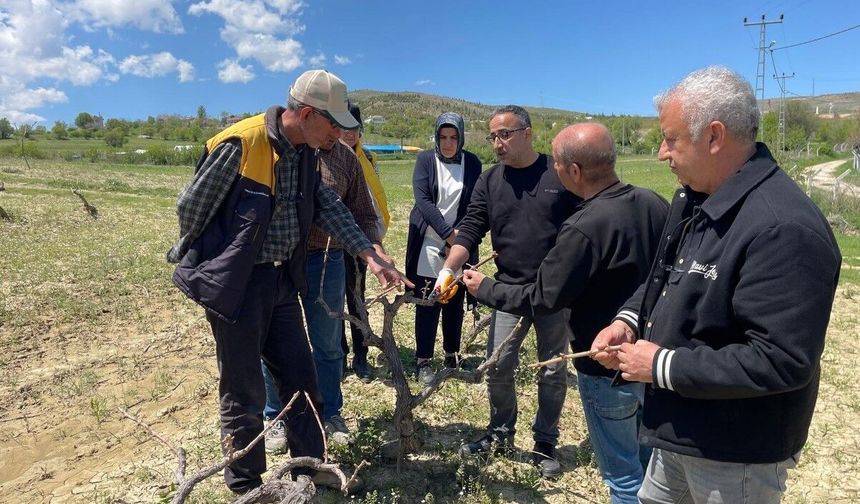 Elazığ'da 'Tarla Okulu' eğitimleri düzenlendi