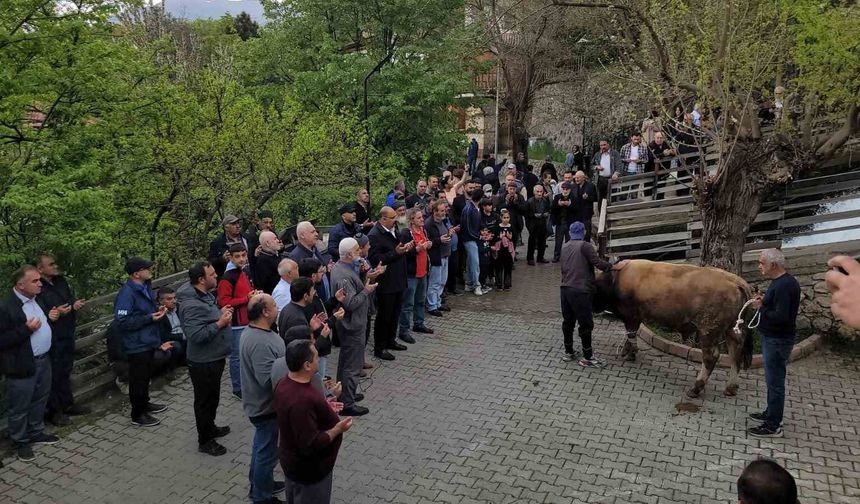 Kemaliye’de asırlık gelenek 'Şükür Kurbanı' tekrar yaşatıldı