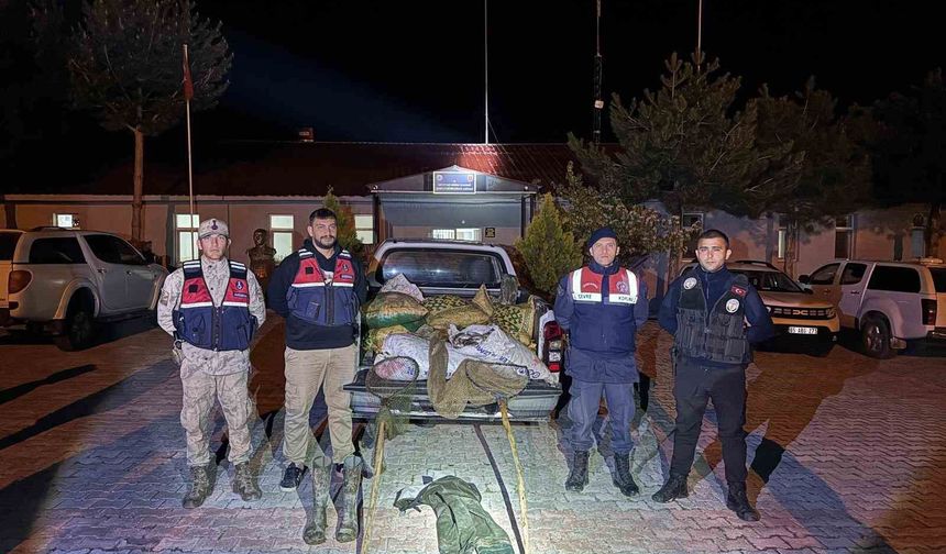 Muradiye'de 630 kilo inci kefali yakalandı