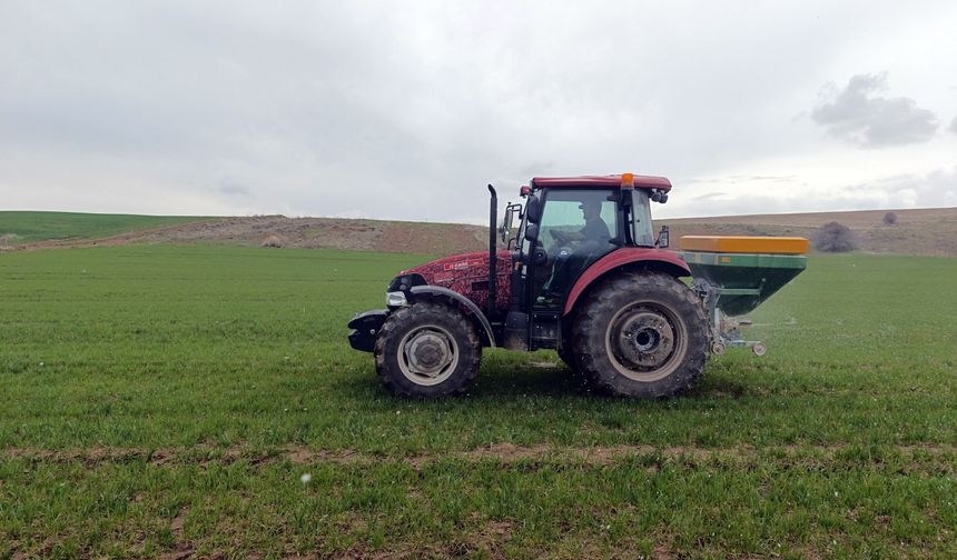 Ahlat’ta çiftçiler tarlaya indi, buğdayda gübreleme başladı