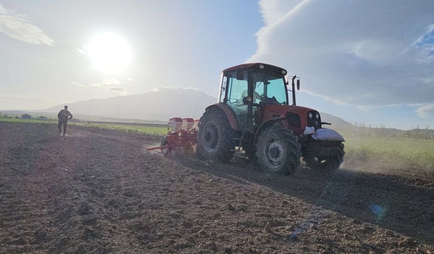 Adilcevaz’da şeker pancarı ekimine başlandı