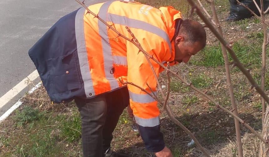 Ahlat'ta karayolları personelinden çevre temizliği çalışması