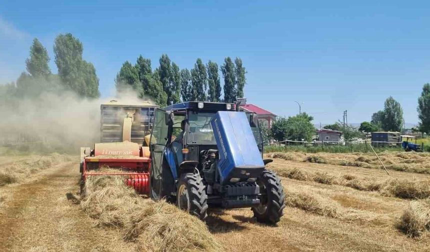 Hasköy'de çiftçilerin kışlık yem mesaisi devam ediyor