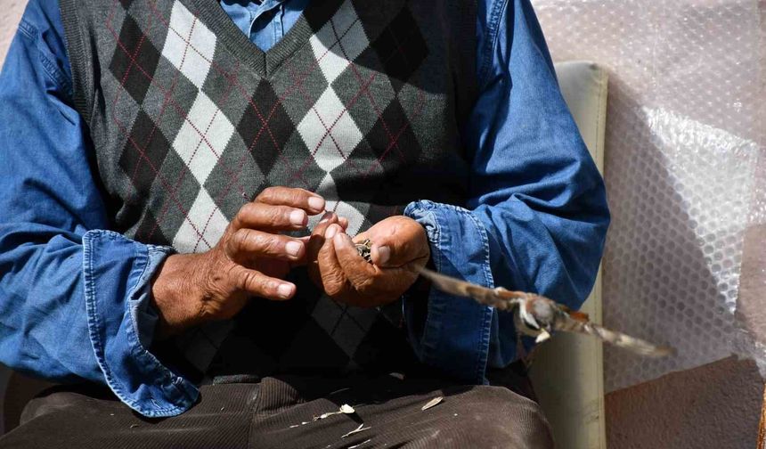Kuşlara çekirdekli sofra hazırlıyor