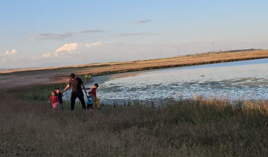 Adilcevaz'daki göletler yağışlarla yeniden doldu