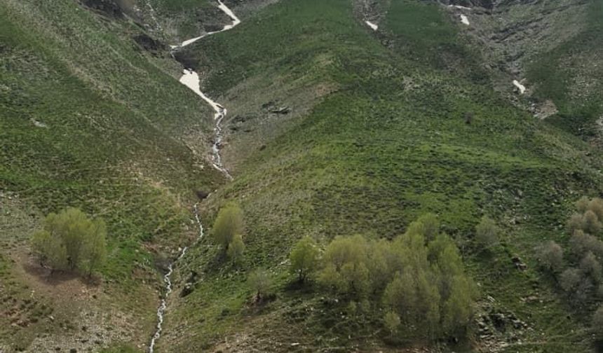 Hizan dağlarında kar sularının coşkusu
