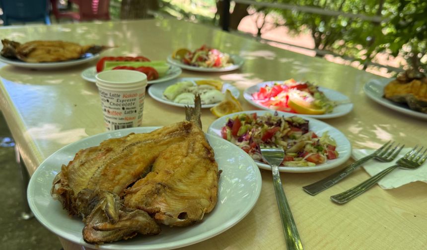 Hizan’da Alabalık Lezzetine Yoğun İlgi