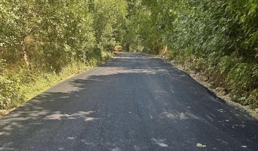 Bitlis'te Köy Yollarında BSK Seferberliği Sürüyor