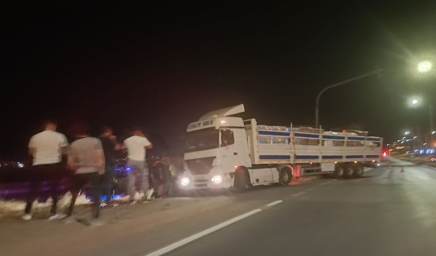 Tatvan'da tır refüje çıktı
