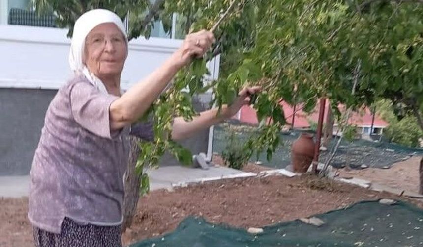 85 yaşındaki çiftin pekmez mesaisi takdir topluyor