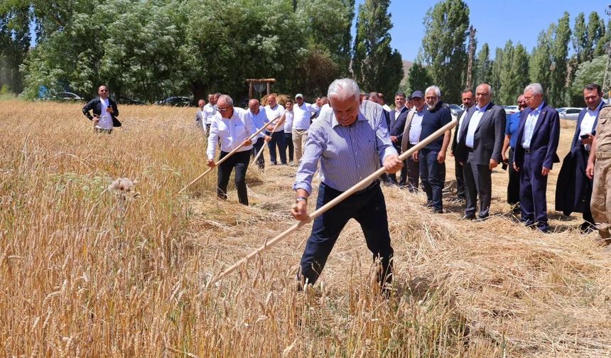 Harman Şenliği'nde Binali Yıldırım'dan tırpanlı hasat