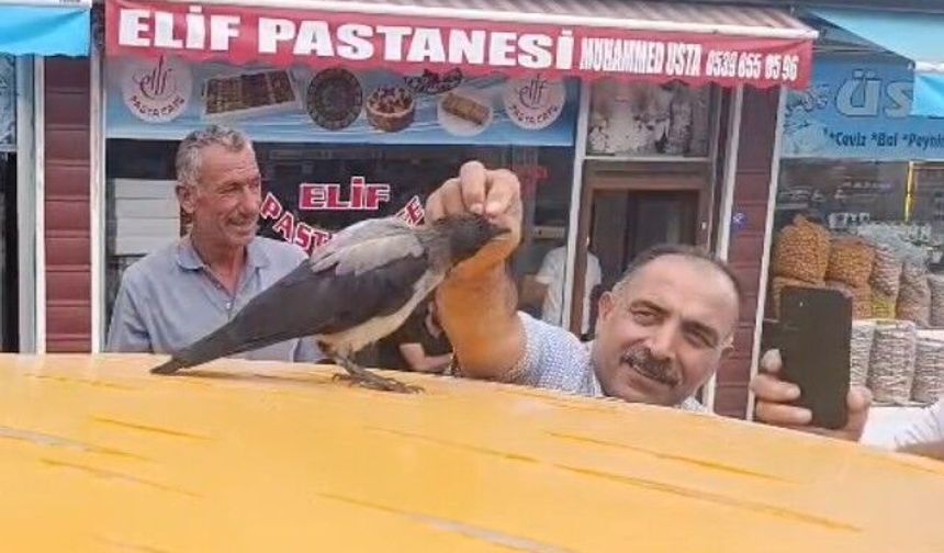 Hasta kargaya yardım etti: O günden beri her gün kasap dükkânına geliyor