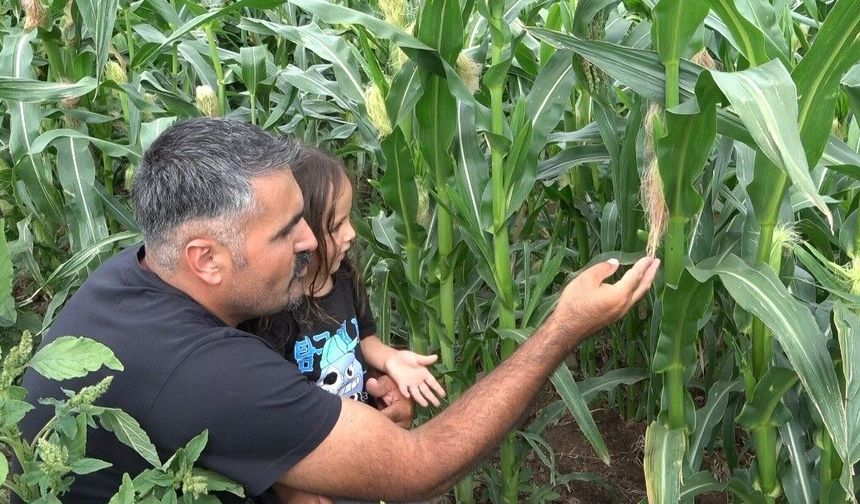 Rusya'dan Tunceli'ye dönüş: Ata tohumları için köy hayatını seçti