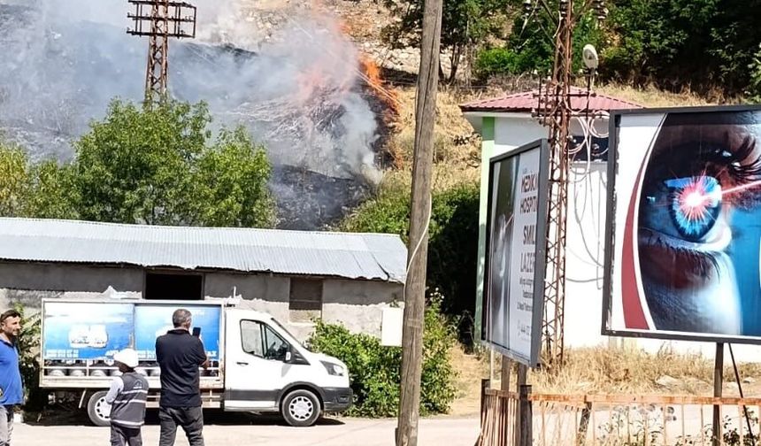 Tunceli'de otluk alanda yangın