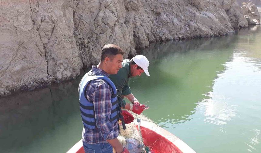 Van'da balıkçılar için beklenen gün: Sazangillerde av yasağı kalktı